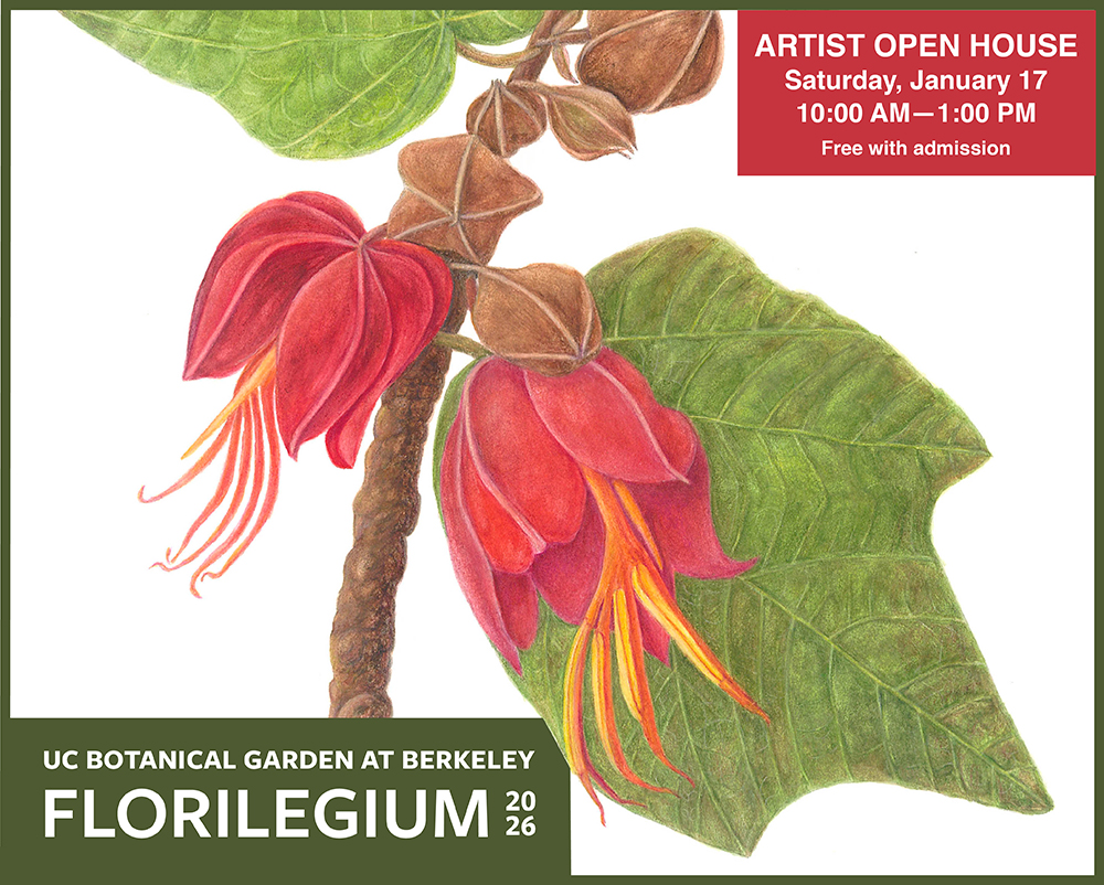 UCBG Florilegium Artist Open House 1