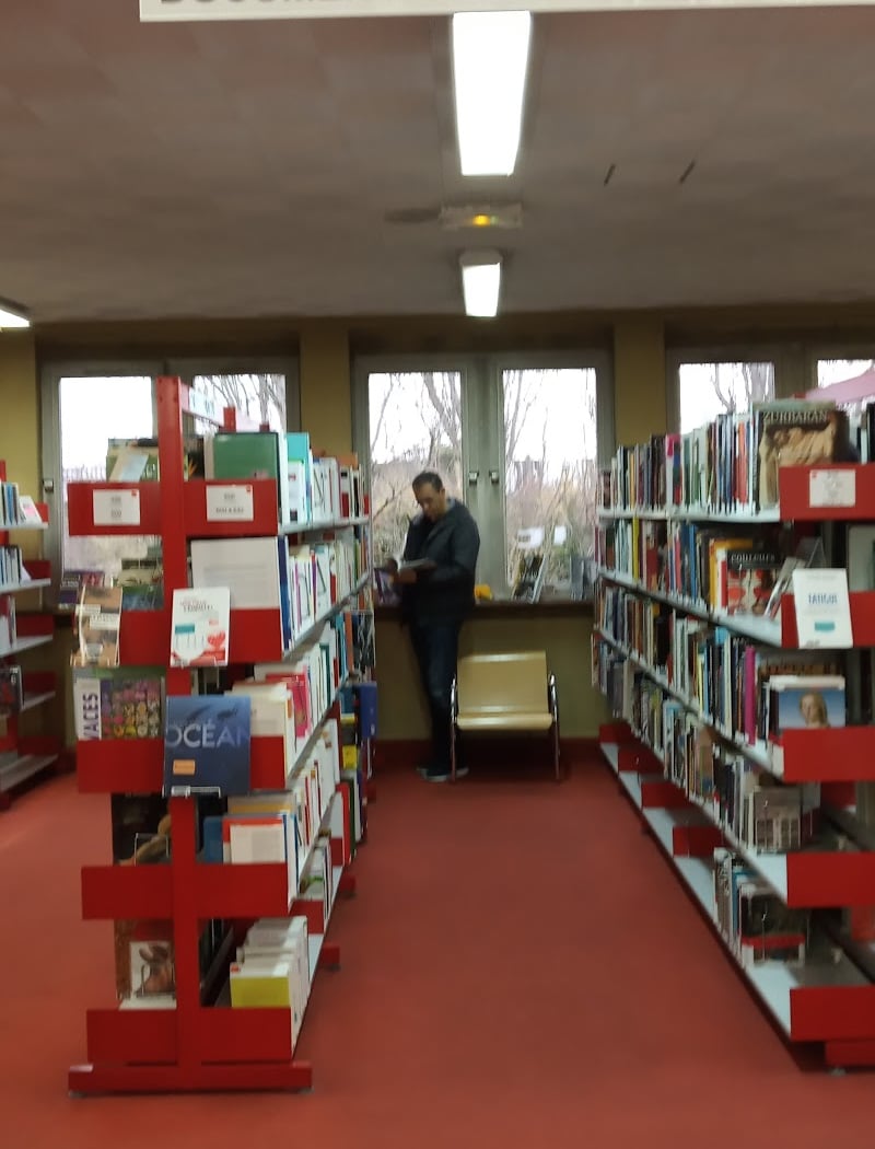 George Sand Public Library 1