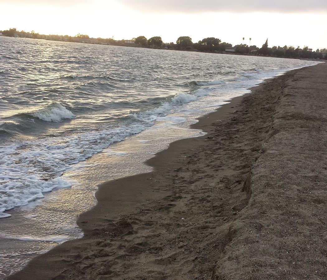 Shore Line Drive 4