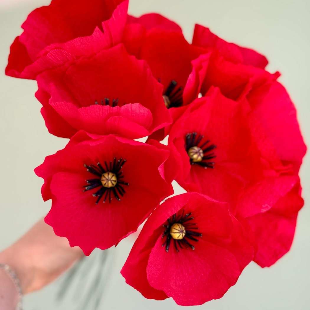 Atelier Paper Flower Coquelicot 1