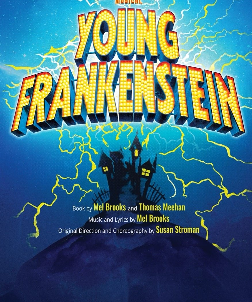 Young Frankenstein 1