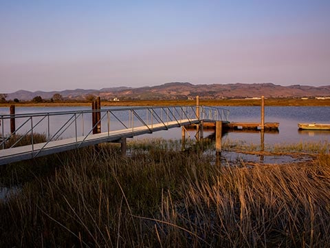 Napa Valley Kayak 2