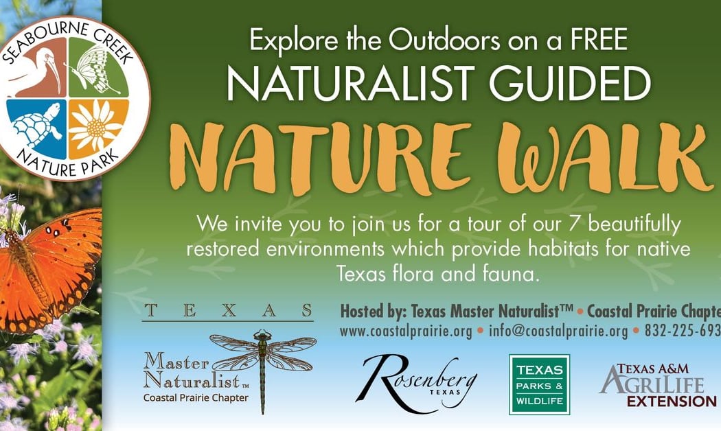 Monthly Nature Walk 1