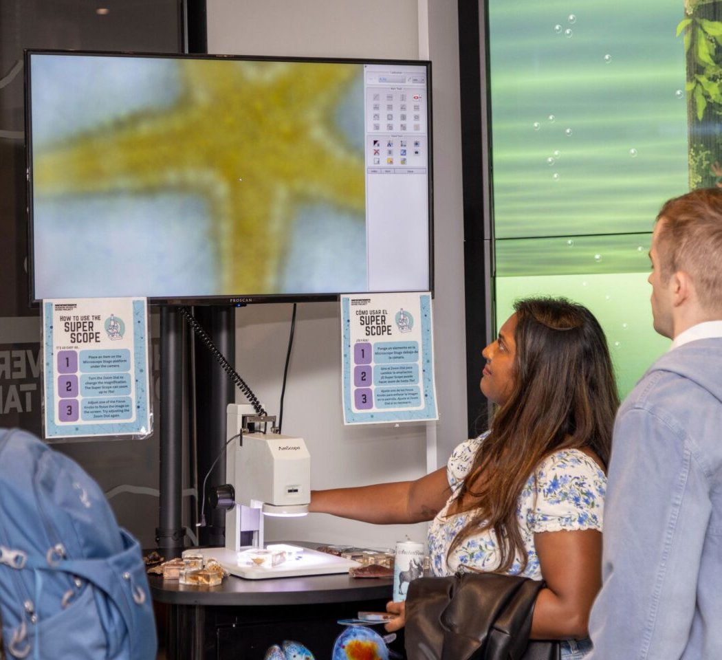 Guided Gallery 1
