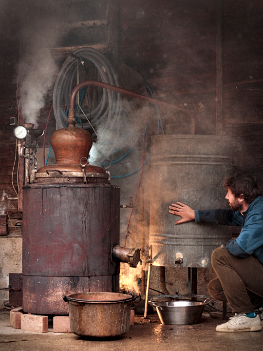 Distillerie Garagaï 1