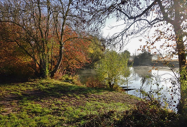 Bardeaux de l’Indre 3