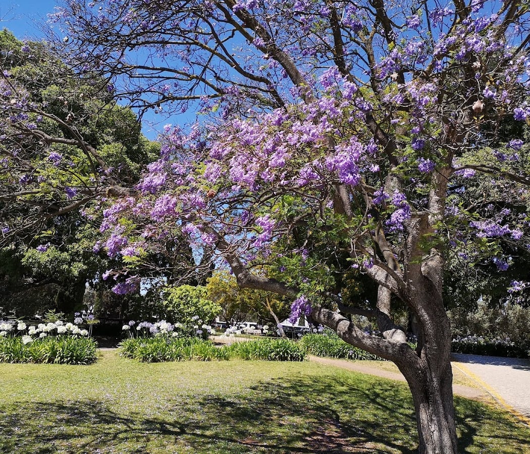 Garden Vasco da Gama 2