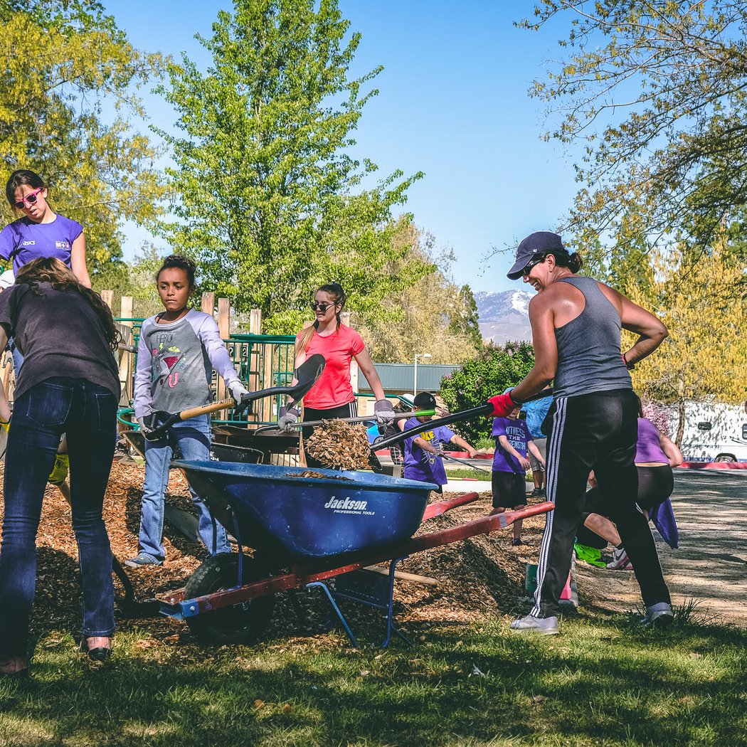 Volunteer Day – Alpine Drive Cleanup 2