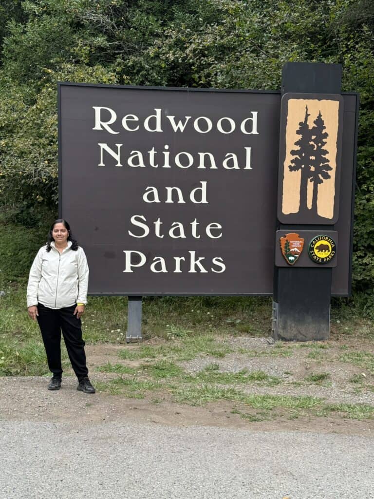 Redwood National and State Parks 2