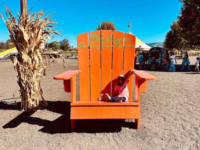 Petaluma Pumpkin Patch and Amazing Corn Maze 2