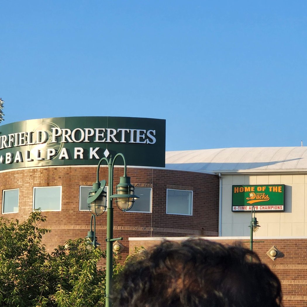 Long Island Ducks Baseball 3