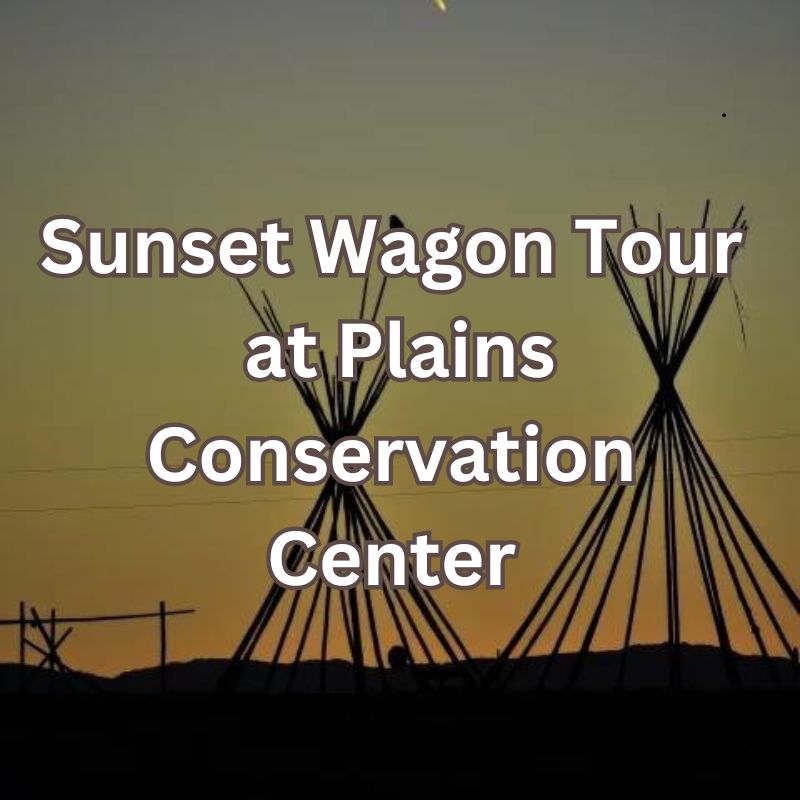 Sunset Wagon Tour