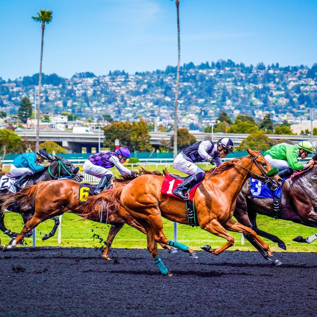 Golden Gate Fields 1