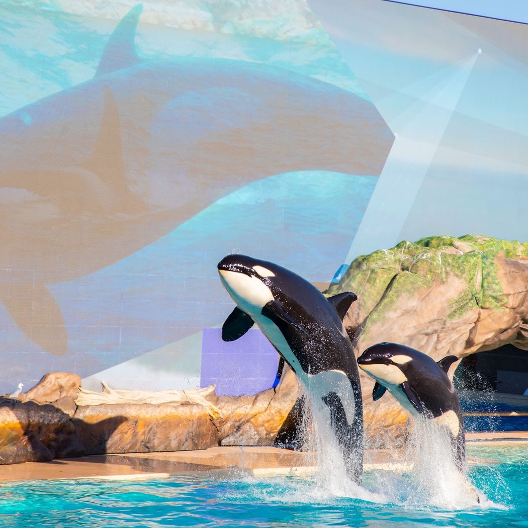 SeaWorld San Diego