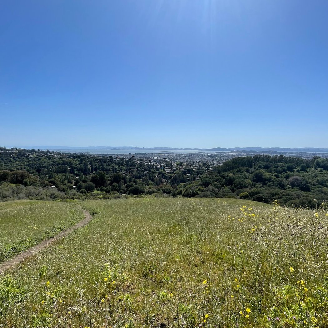 Alvarado Park 2