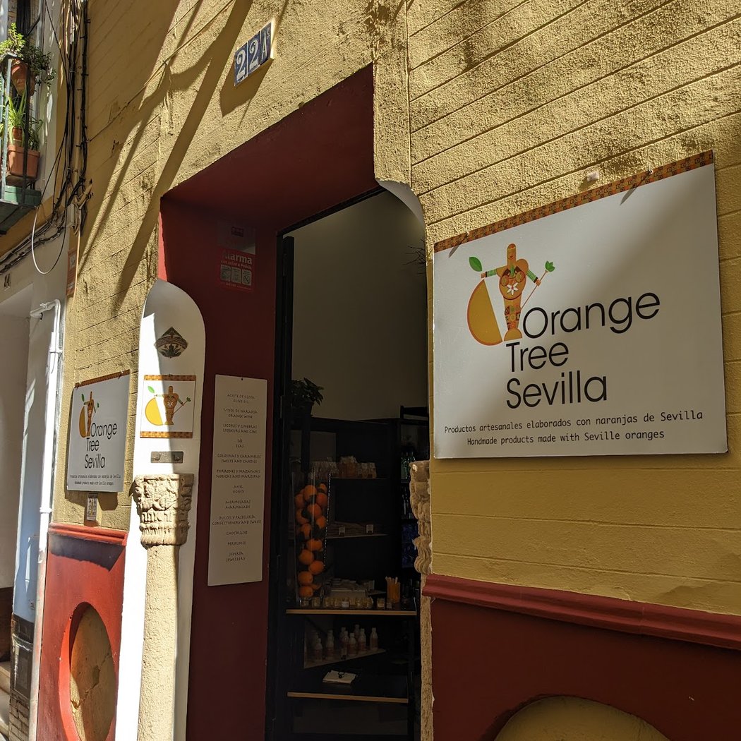 Orange Tree Sevilla 2