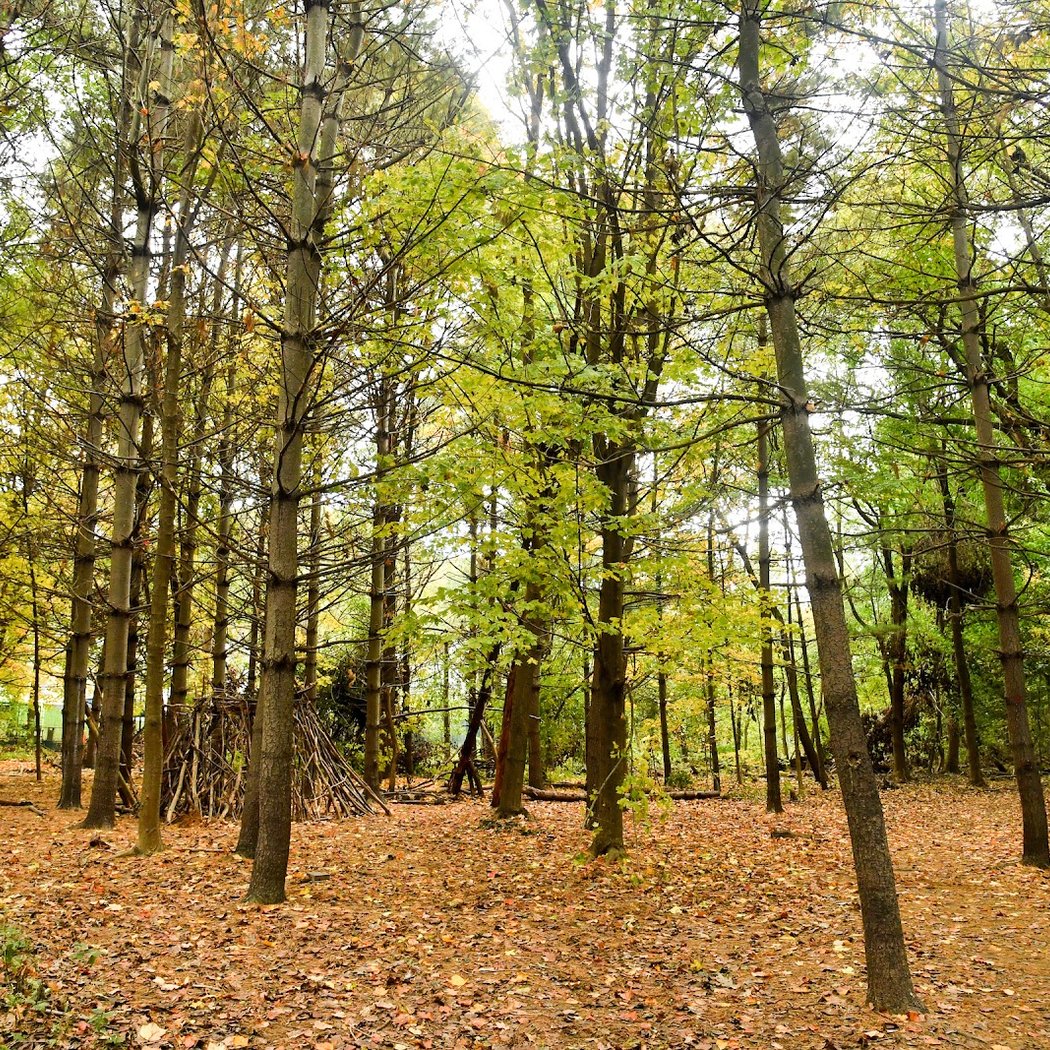 Riverdale Park 3