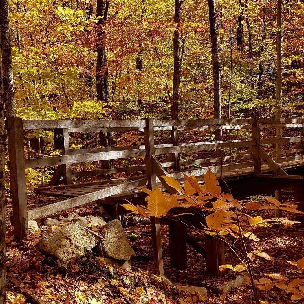 Bromont Summits Park 3
