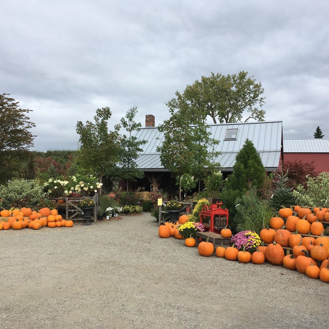 Windy Hill Farm 3