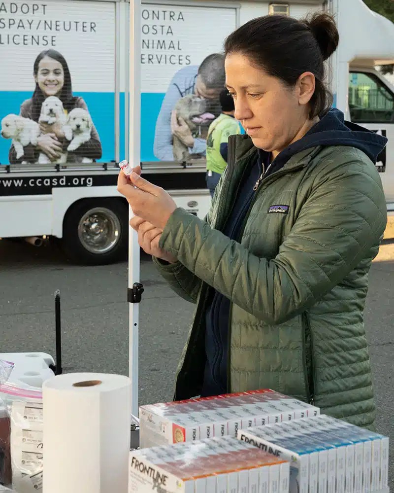 Free Pet Vaccinations & Microchips 3