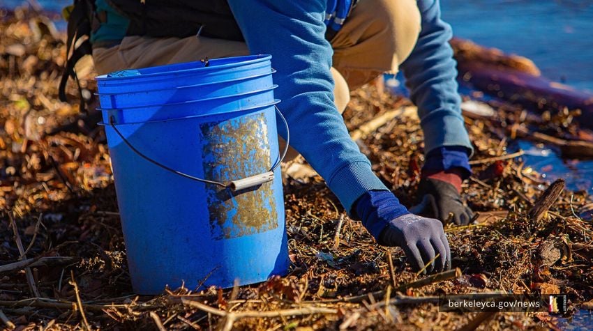 3rd Saturday Shoreline Cleanup - February 1