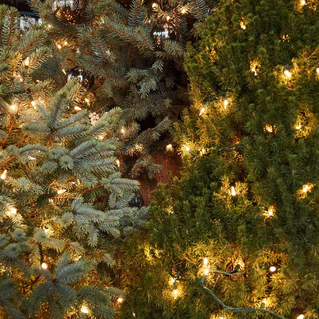 12 Days of Festive 1