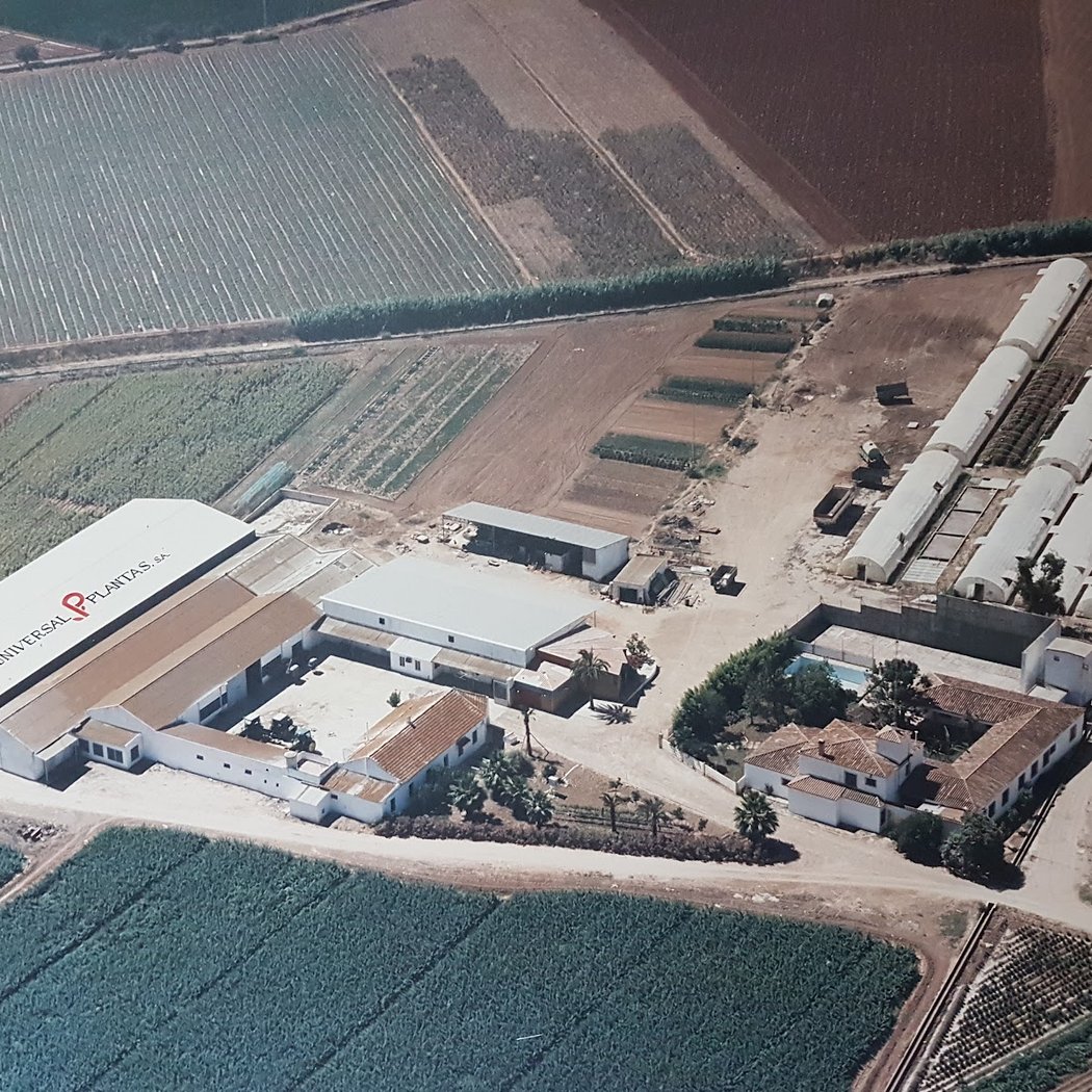 Universal Plantas, S.A. 2