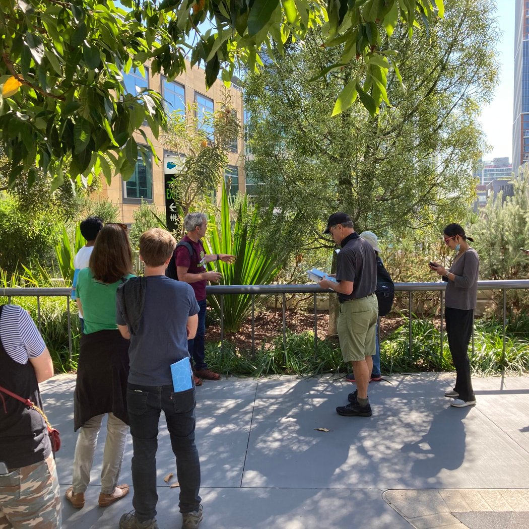 Tree Tour 1