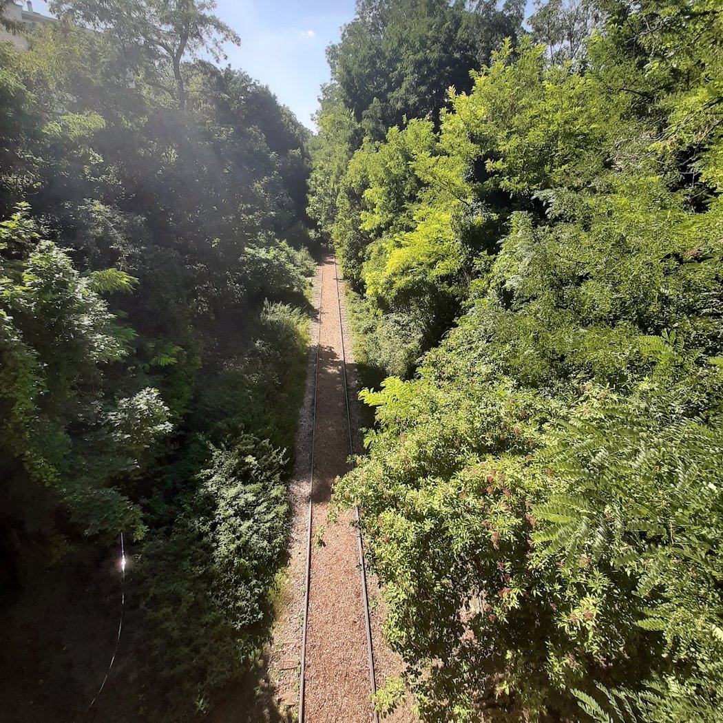 Petite Ceinture du 14e 3