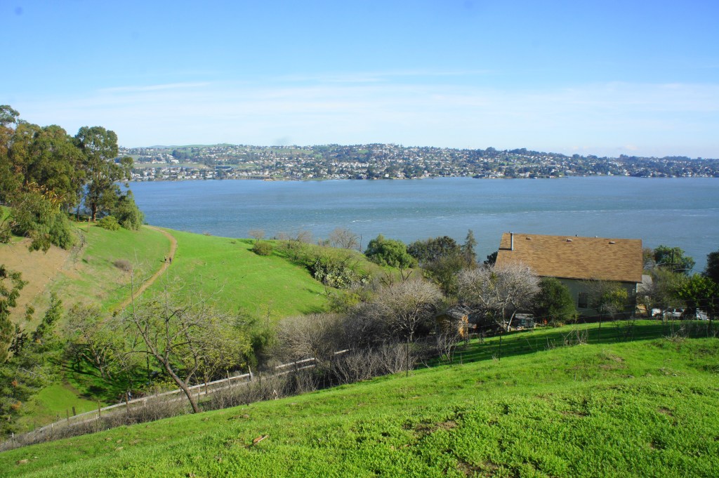 Carquinez Strait Regional Shoreline Park 2