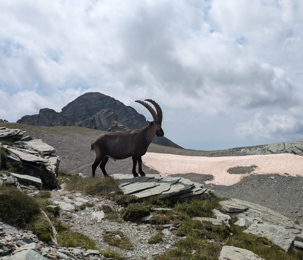 Mont Bégo 1