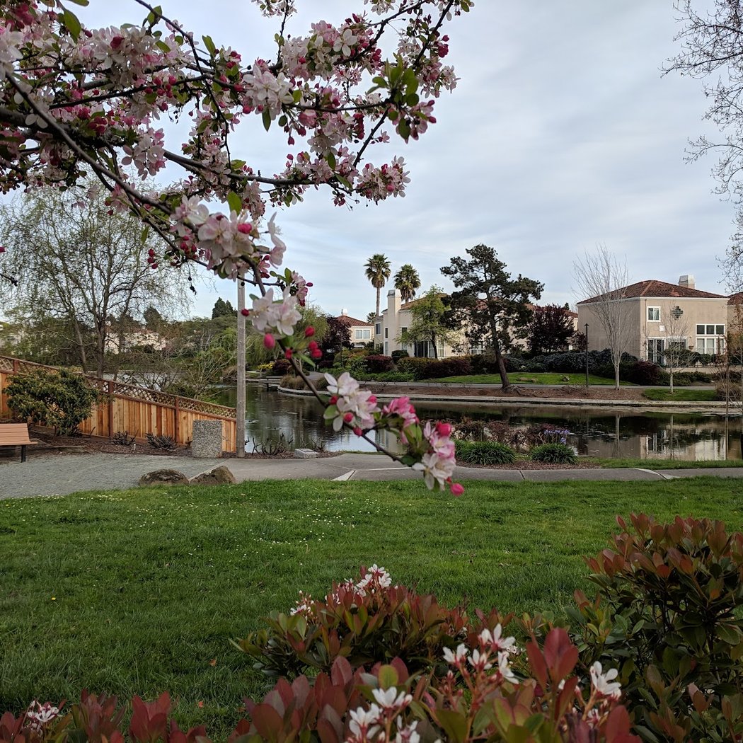 Tillman Park 1