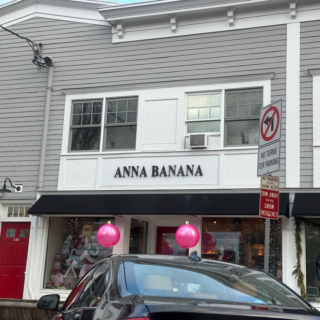 Anna Banana 2