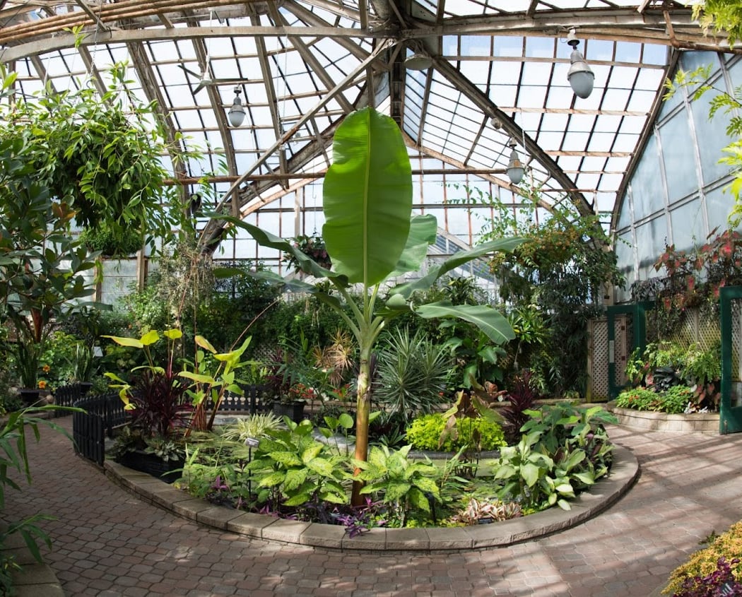 Lincoln Park Conservatory 3