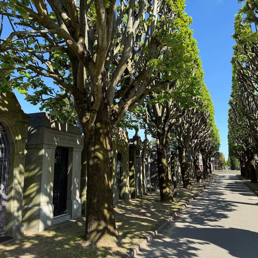 Visite du cimetière Miséricorde 1