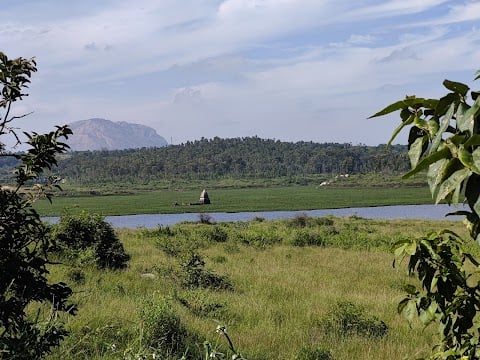 Thippagondanahalli Reservoir 3