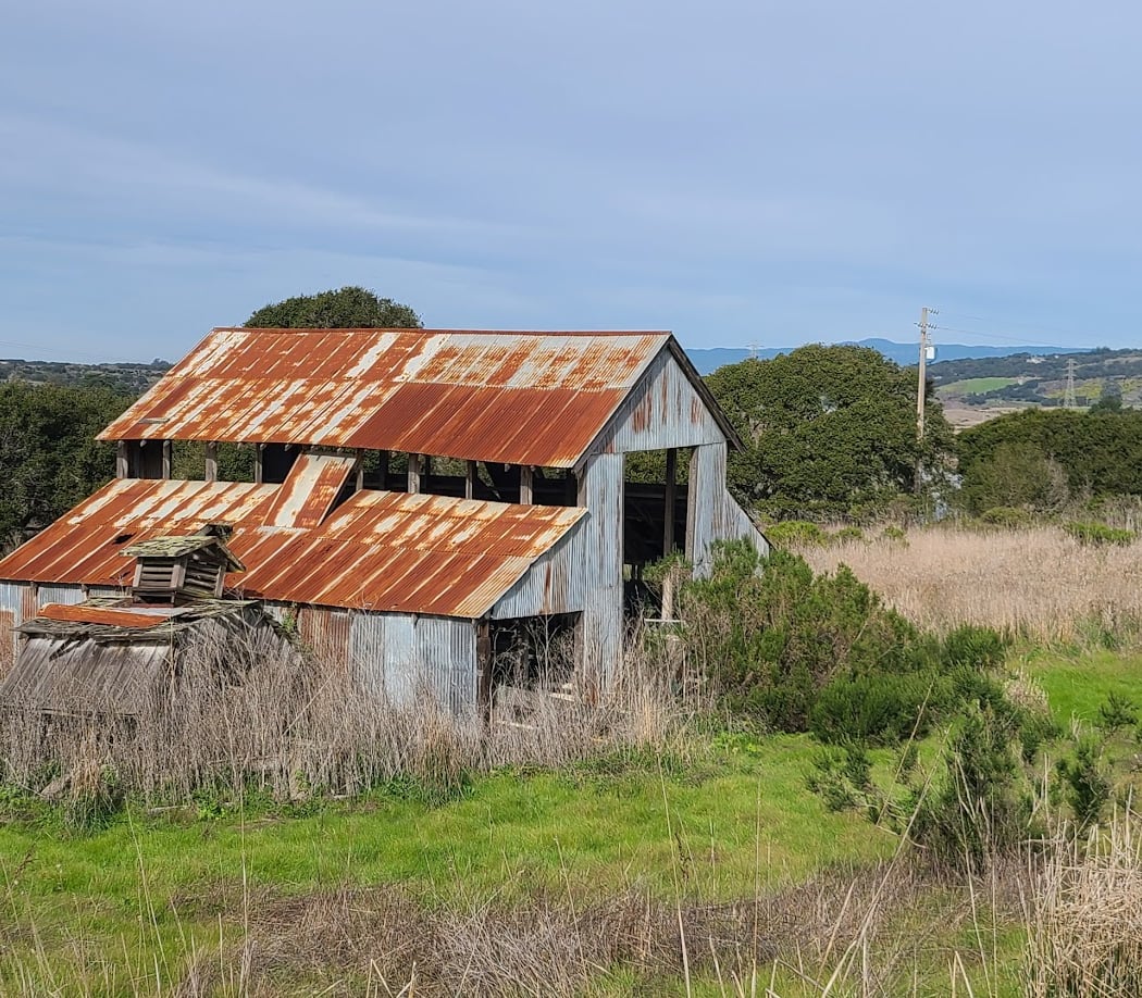 Elkhorn Slough Reserve 3