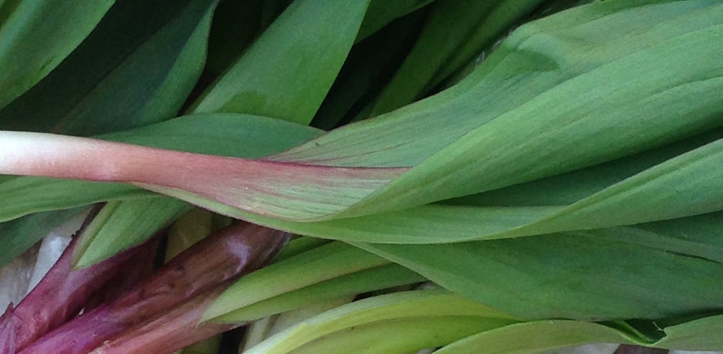 57th Street Greenmarket 2