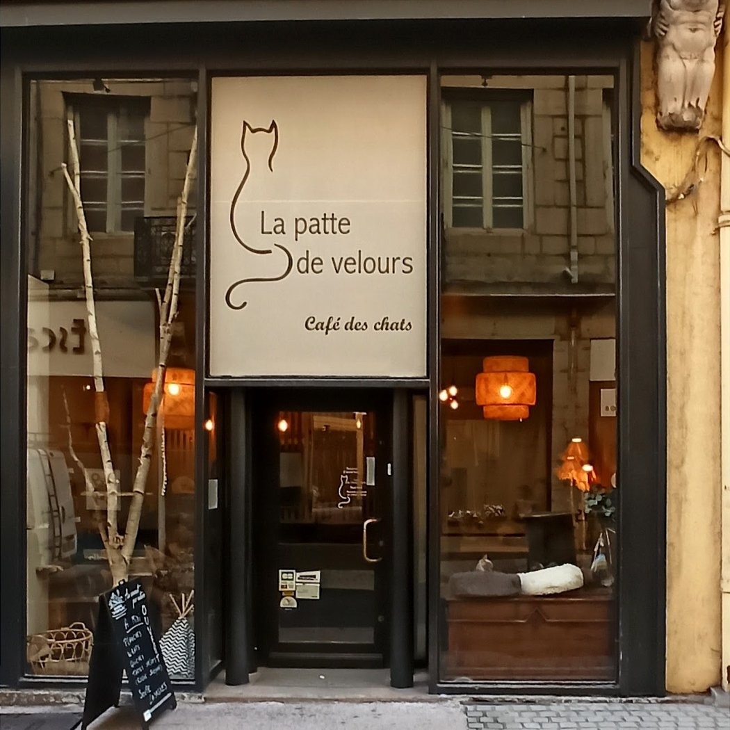 La patte de velours 2