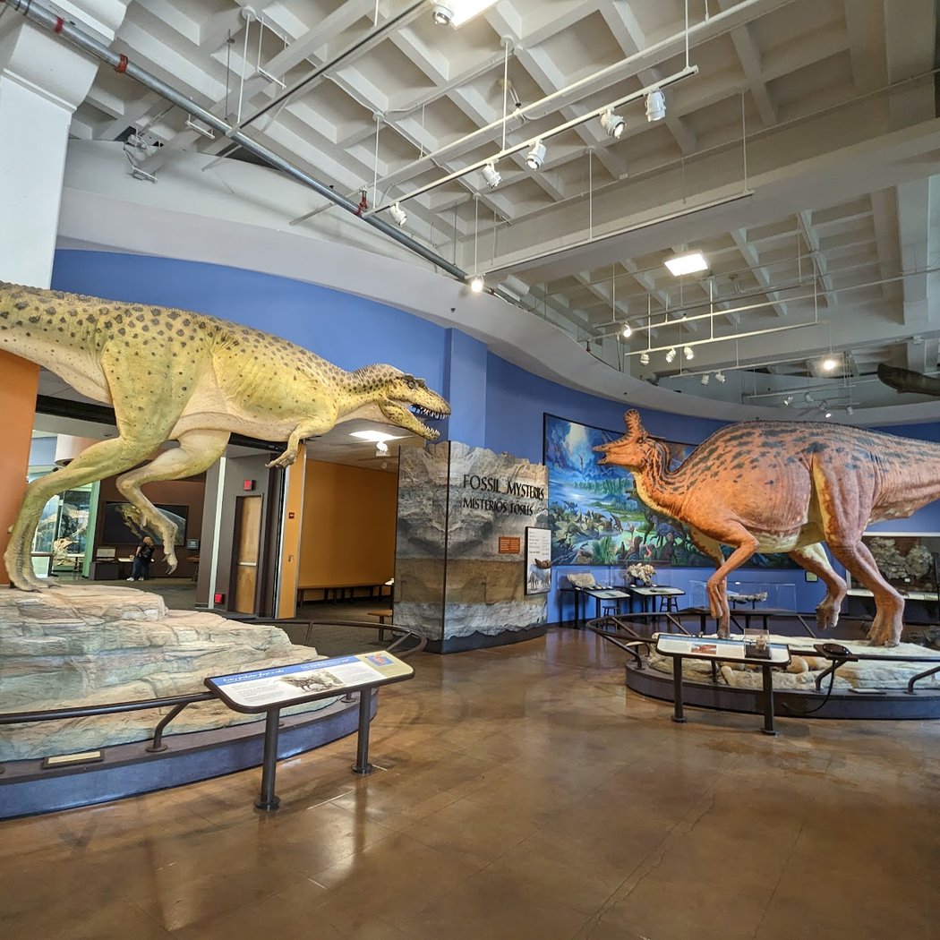 San Diego Natural History Museum 5