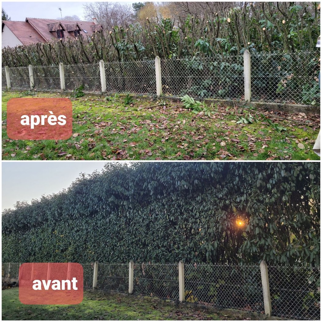 Tellier Alexandre ( entretien parcs et jardins ) 2