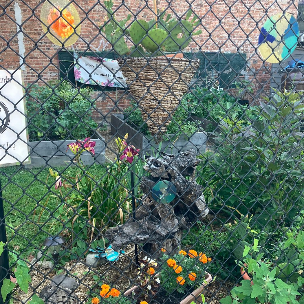 Halsey Ralph & Howard Community Garden 2