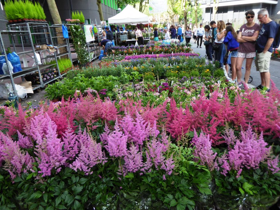 Grande Fête des Plantes et de l’Agriculture Urbaine 1