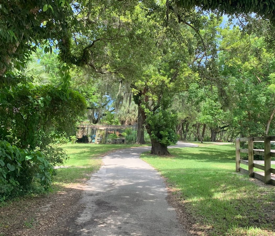Enchanted Forest Elaine Gordon Park 2