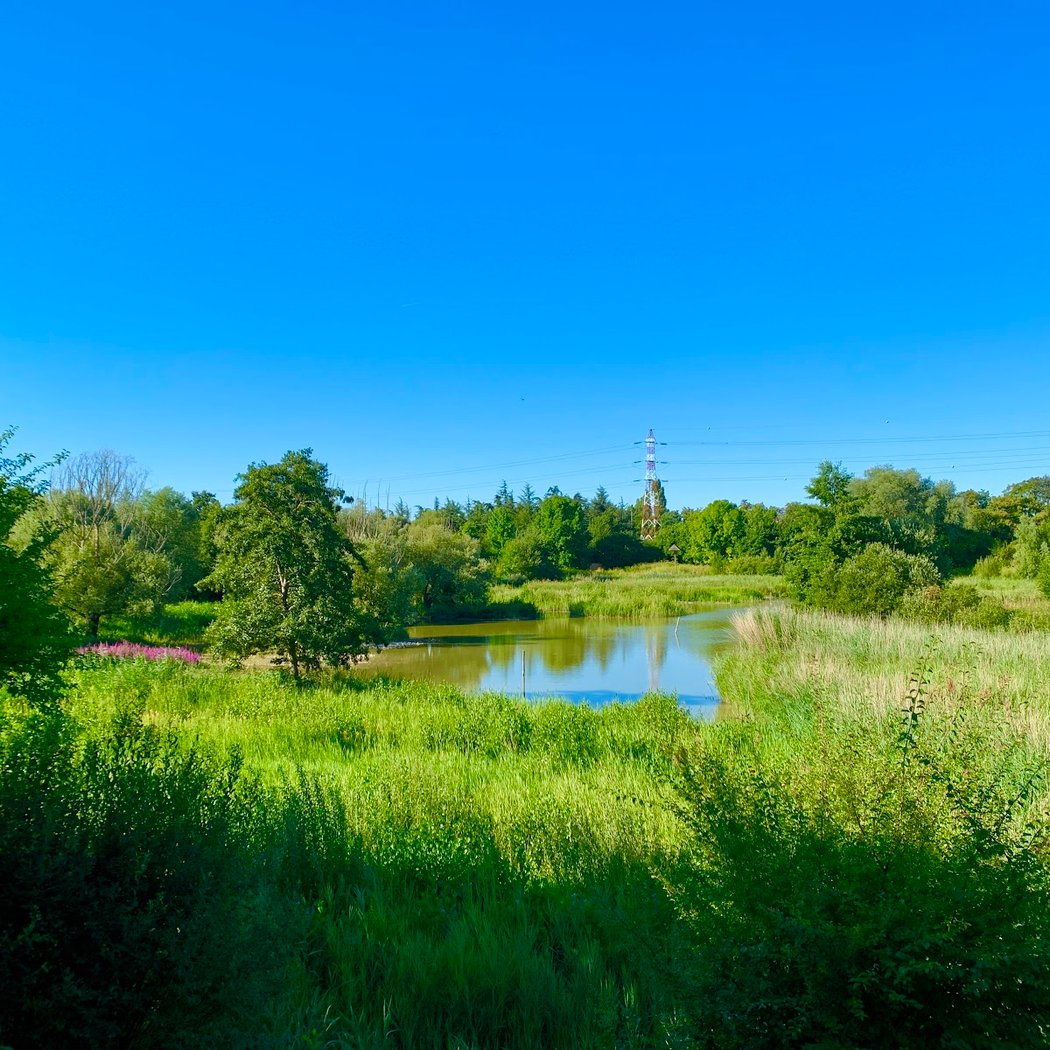 Le Bel Été Solidaire 4