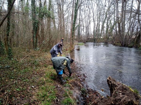 Fédération de Pêche de la Nièvre 4