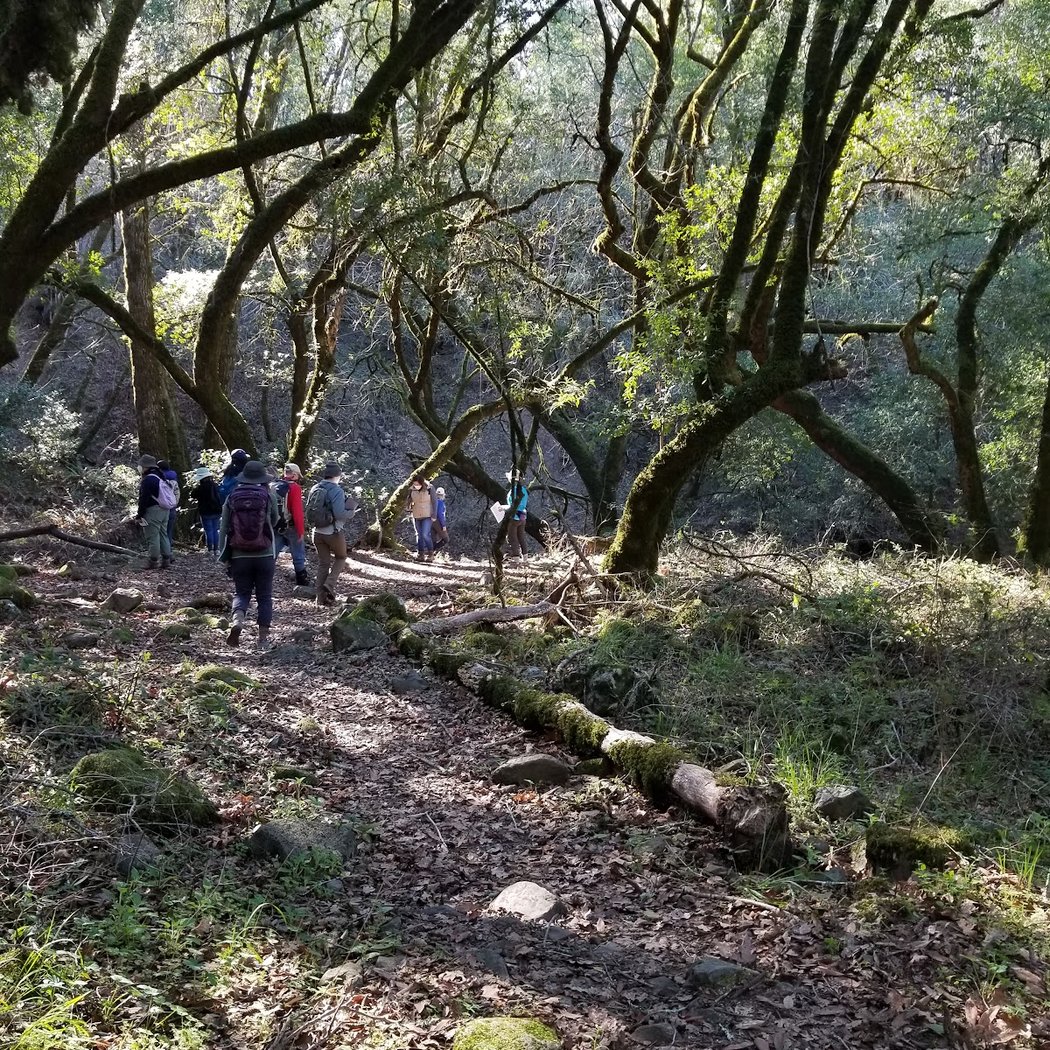 Fairfield Osborn Preserve 1