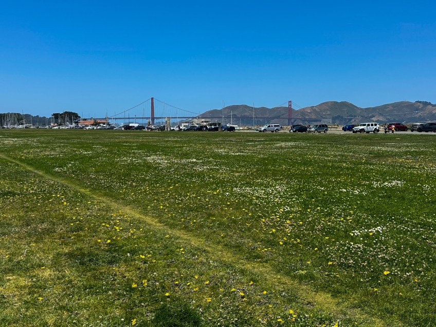 Marina Green 3