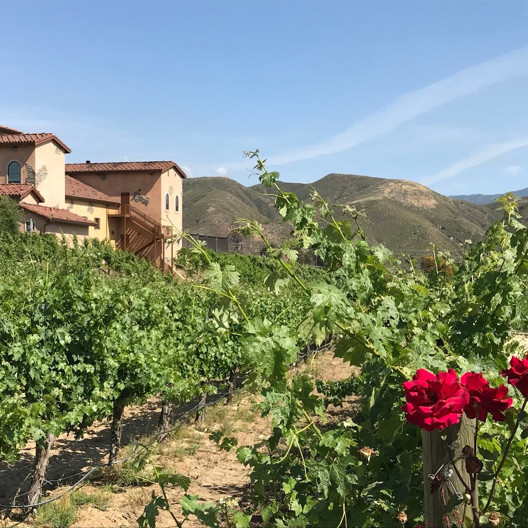 Temecula Valley 2