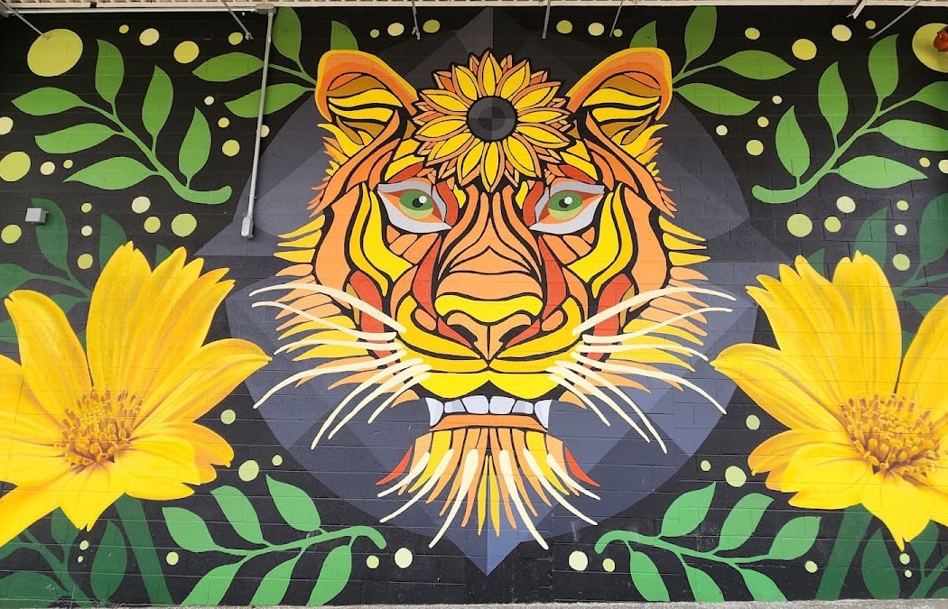 Brilliant RiNo — June Solstice Celebration 1